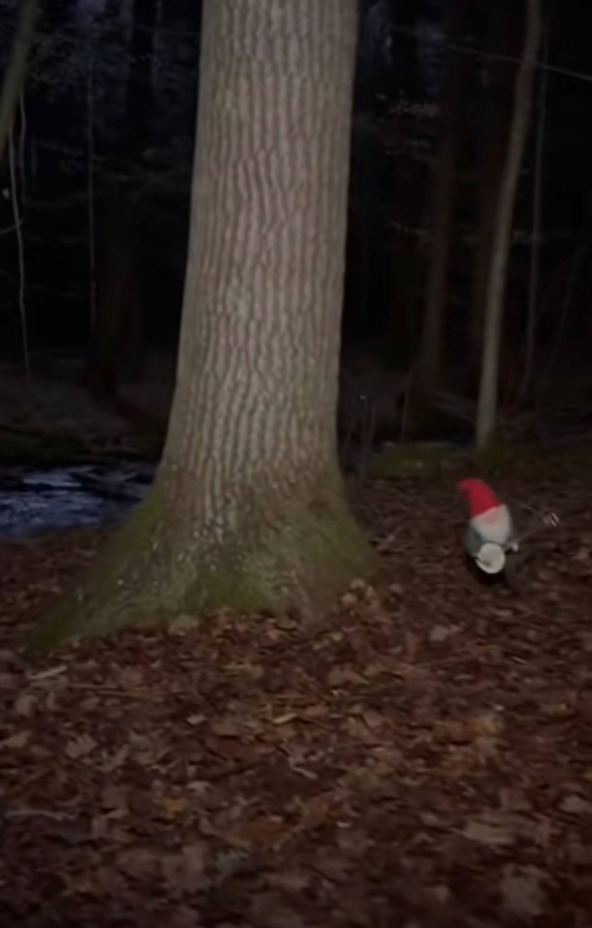 Gnome field archive