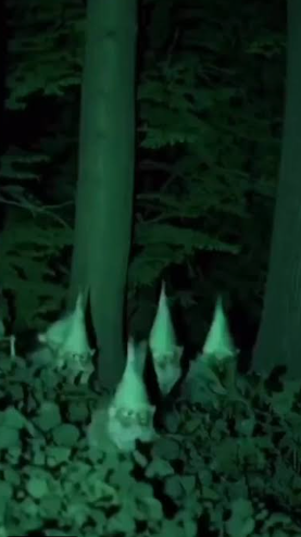 Gnome field archive